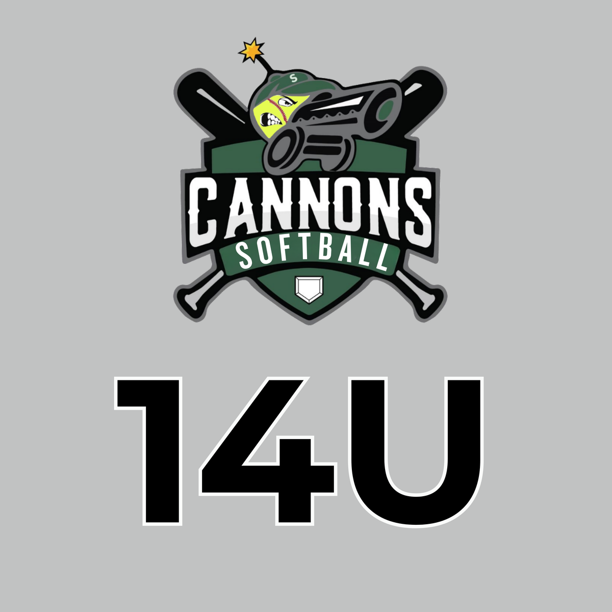 Cannons Softball Fundraiser 14U