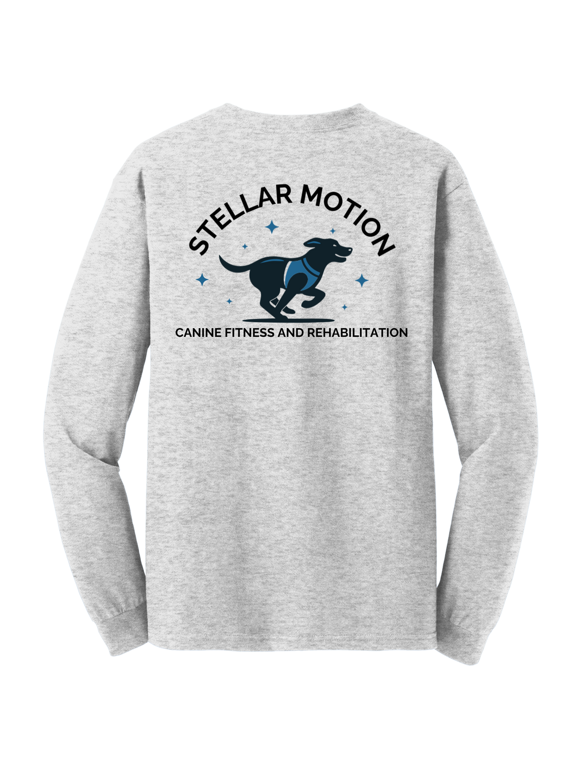 Stellar Motion Ash Grey Long Sleeve