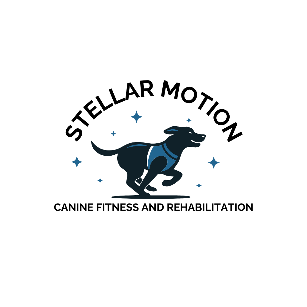Stellar Motion Full Back Design