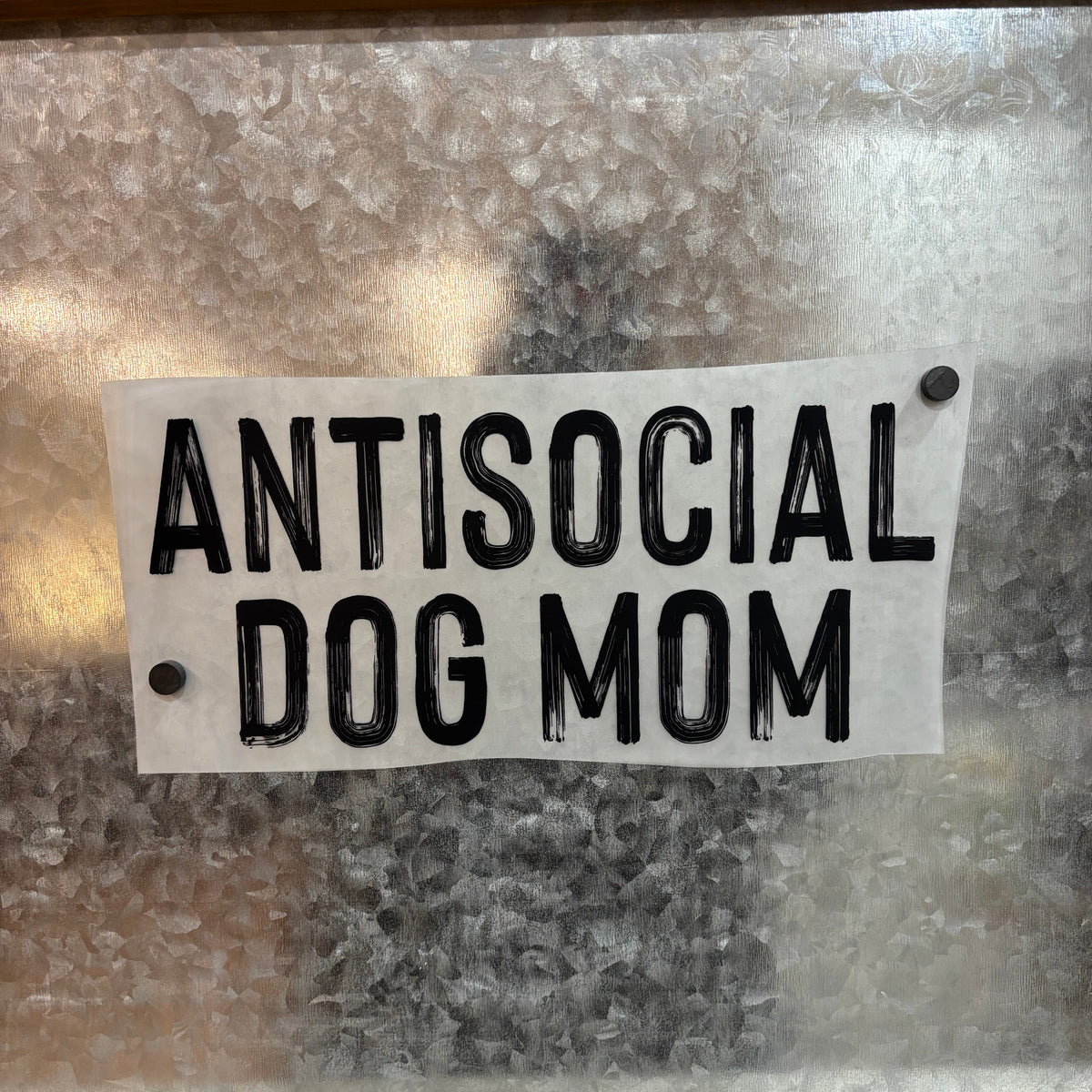 Antisocial Dog Mom